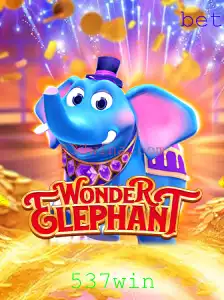 Explorando o Mundo de WonderElephant: Tudo o Que Você Precisa Saber